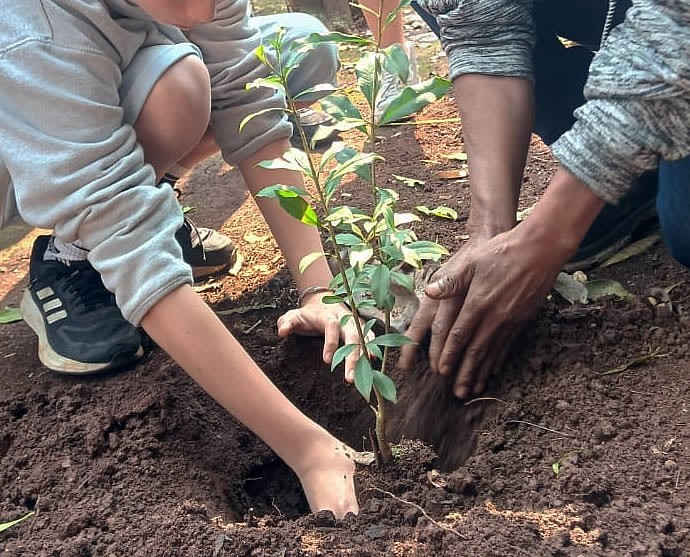 Plant-a-tree