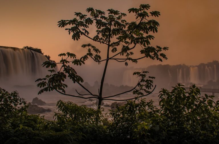 Amanhecer-2
